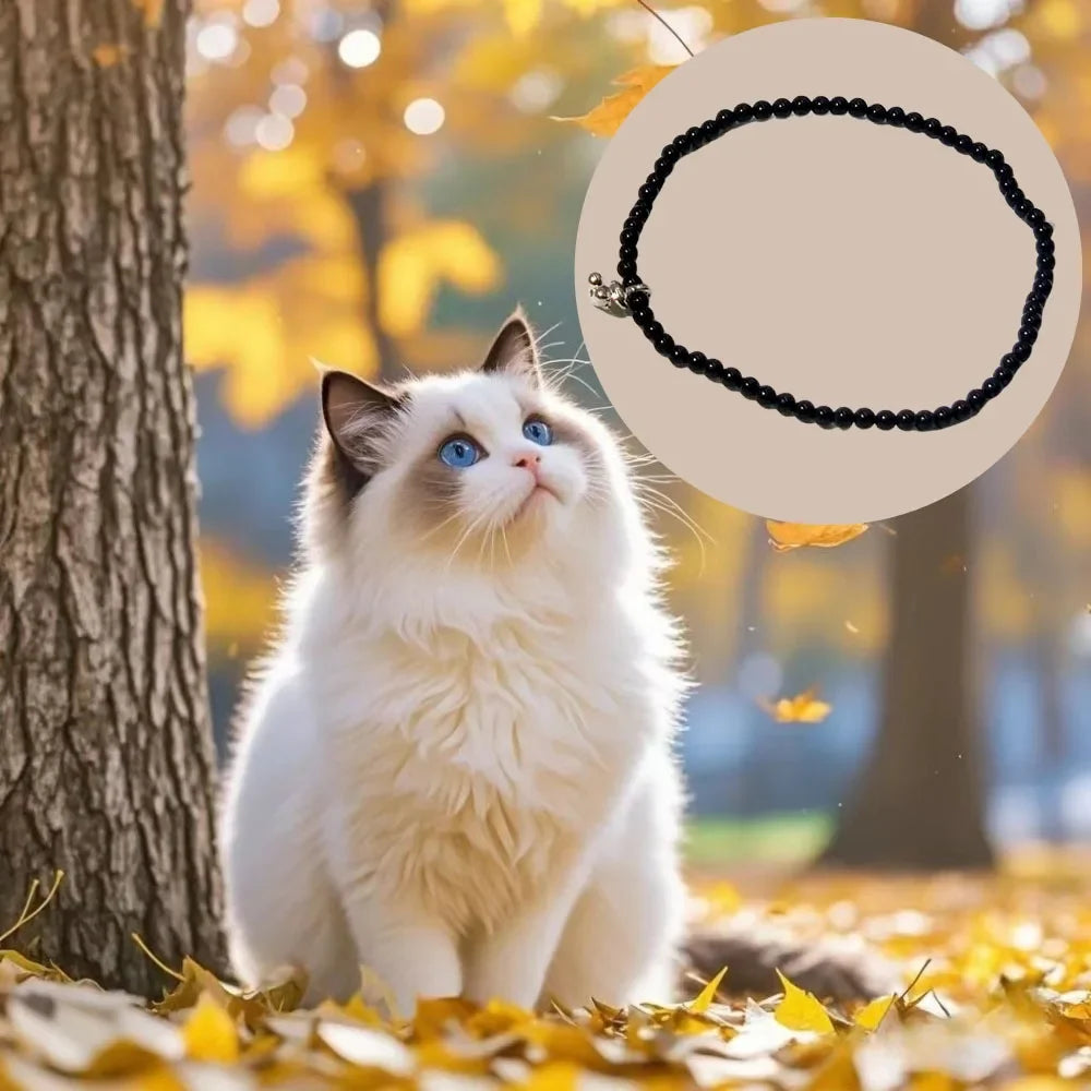 Cat Jewelry Accessories New Style Sweet Bracelet Women's Charm Jewelry Decoration Commemorative Day Gift