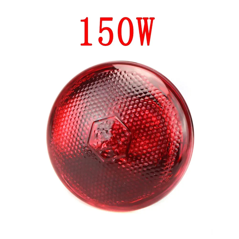 220V Infrared Heating Lamp Bulb 100/150/200/275W Suitable for Reptiles Plants Pets Livestock and Poultry