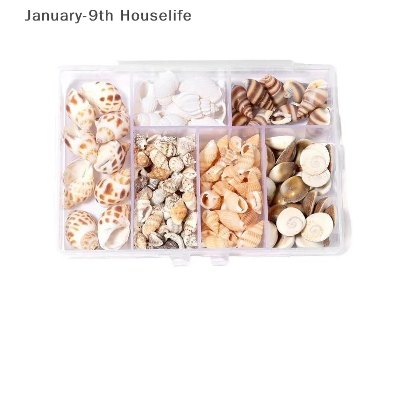 1 Box Sea Shells Spiral Shell Tiny Ocean Spiral Seashells Crafts Aquarium Decor Landscaping Accessories