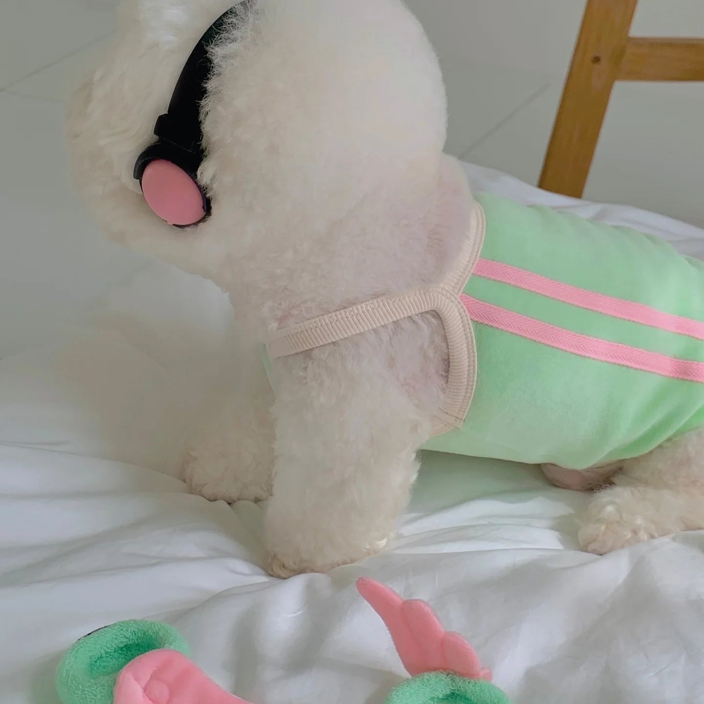 Pet Spring/Summer Dog Sports Tank Top Strap Cool Sunscreen Tank Top Teddy Cat Summer Dress Puppy Clothes