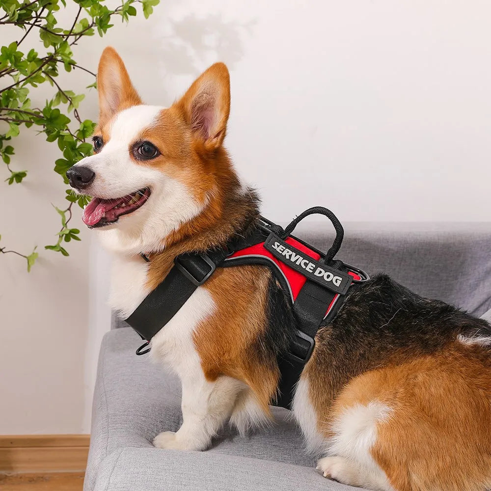 Reflective Pet Dog Harness No Pull Dog Vest Leash for Small Medium Large Dogs Walking Custom ID Tag Dog Accessories