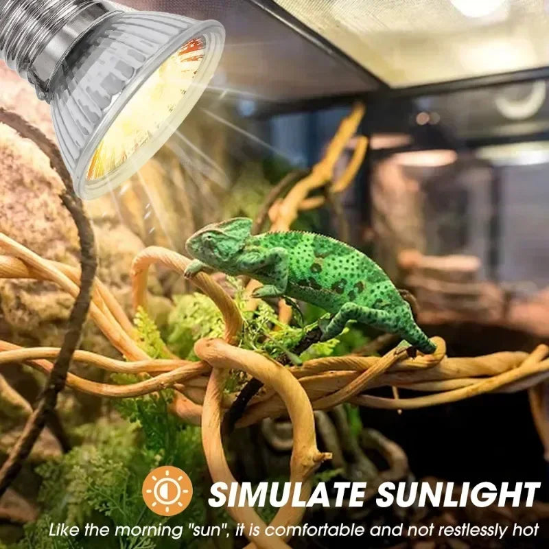 1/5PCS Reptile  Heating Lamp Bulbs 25/50/75W Pet Growth Specific Light Heating Light for Amphibian Turtle Lizard Basking Sunlamp