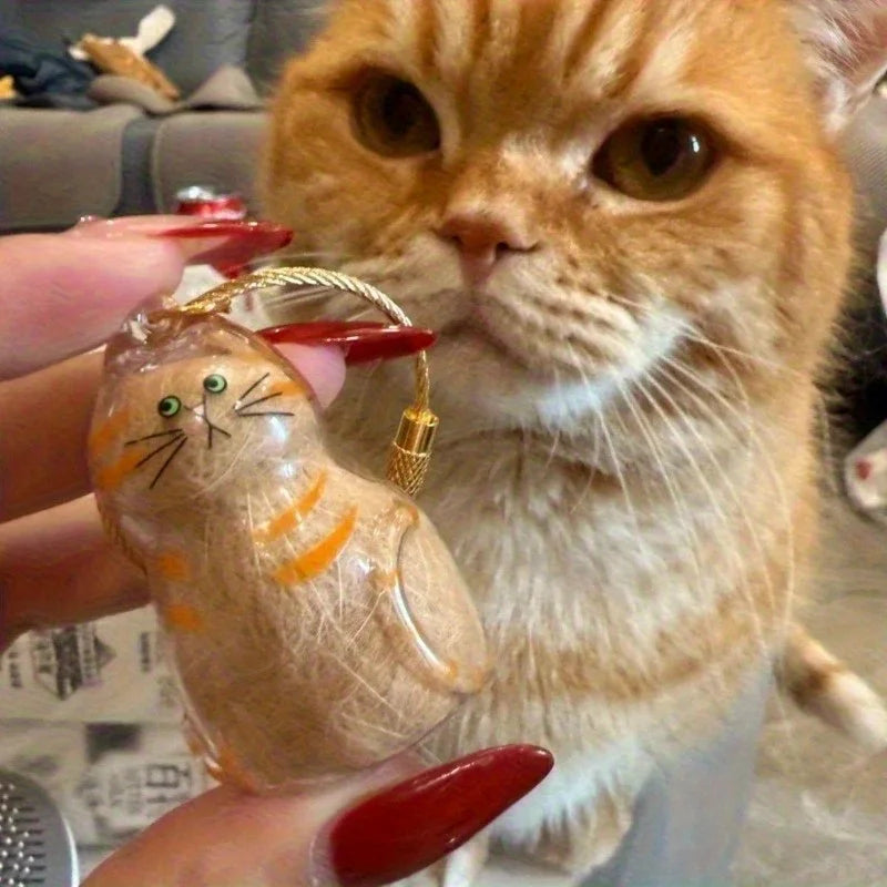 1/3pcs Transparent Cat Memorial Capsules Pet Hair Keepsake Box with Hanging Loop for Cat Lovers Gift Pendant Keychain Pet Access