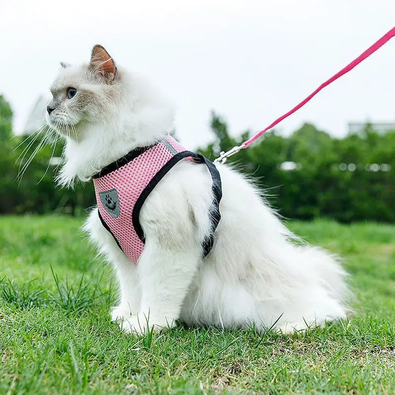 Cat Small Dog Breathable Mesh Harness And Leash Kitten Cats Harnesses Little Dog Puppy Harness For French Bulldog Chihuahua Pug