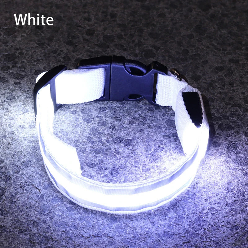Reflective Dog Collar Luminous Night Safety Usb Rechargeable LED Dog Collar Light For Small Dogs Cat Pet Collar Para Perro XS-XL