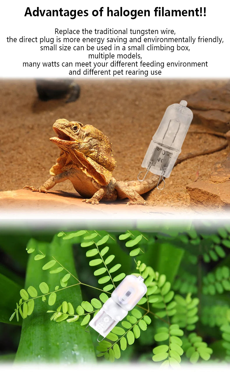 Full Spectrum Heating Lamp Reptiles Heat Preservation Light Turtle Sunbathing Lamps Amphibian Breeding Box Accessories Uva+Uvb
