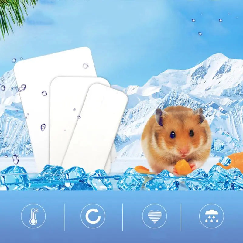 Hamster Aluminum Cool Ice Pad Pet Cage Sleeping Bed Plate Cooling Pad for Bunny Puppy Kitten Chinchilla Pet Cool Drop Shipping
