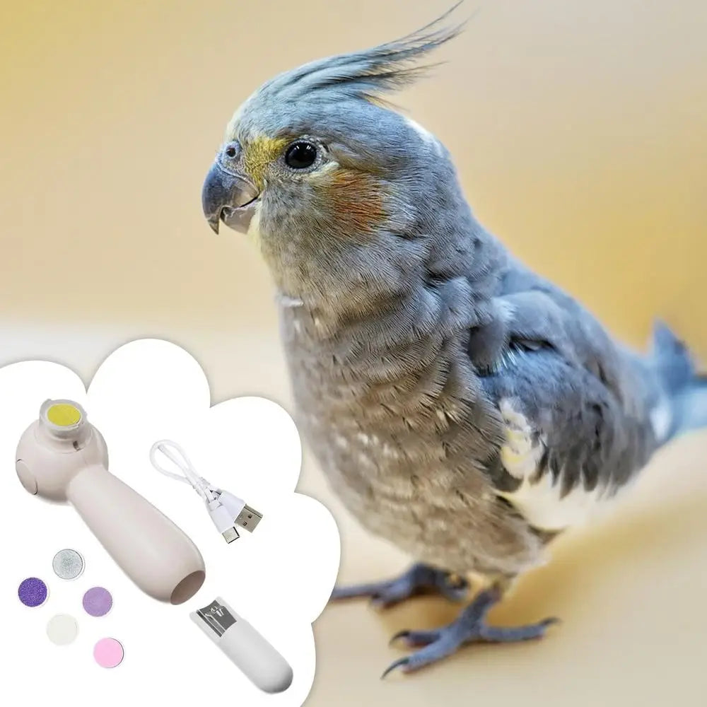 Parrot Nail Trimmer Noiseless Electric Beak Grinder Multipurpose Bird Care Supplies Nail Trimming Tool With 6 Grinding Heads For