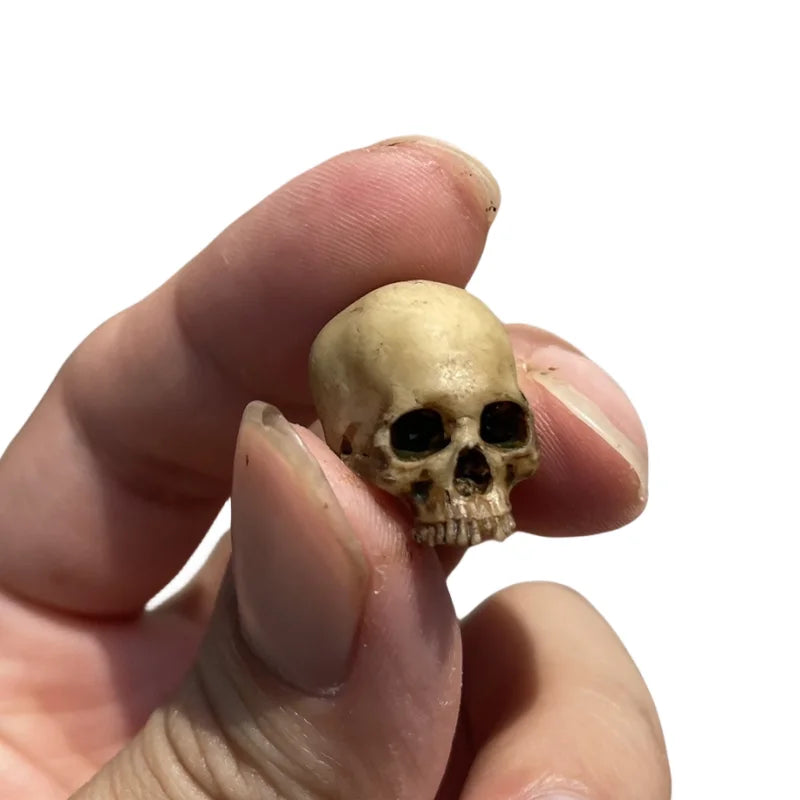 1/12 Scale Human Beings Skeleton PVC Model for 6in 7in Action Figure Accessory Scene Collection Feeding Box Fish Tank Decoration