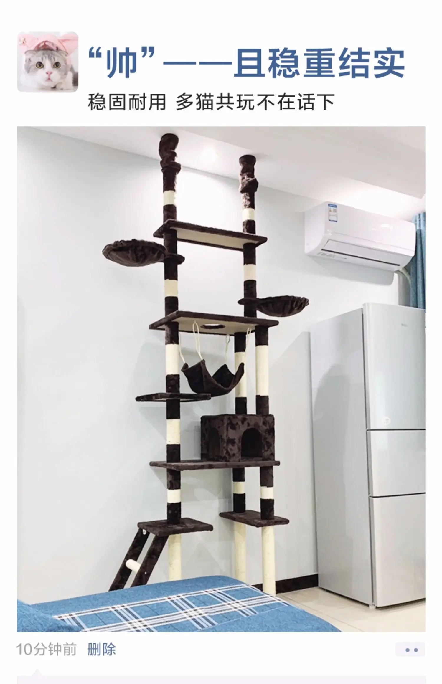 Ceiling Cat Climbing Frame Sky Pillar Sisal  Jumping Platform  Rack Cat Nest  Tree Integrated Large  Climbing Frame