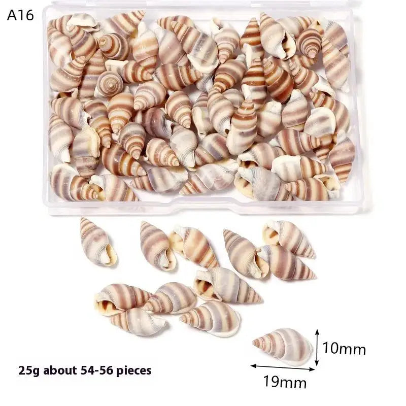 1 Box Sea Shells Spiral Shell Tiny Ocean Spiral Seashells Crafts Aquarium Decor Landscaping Accessories