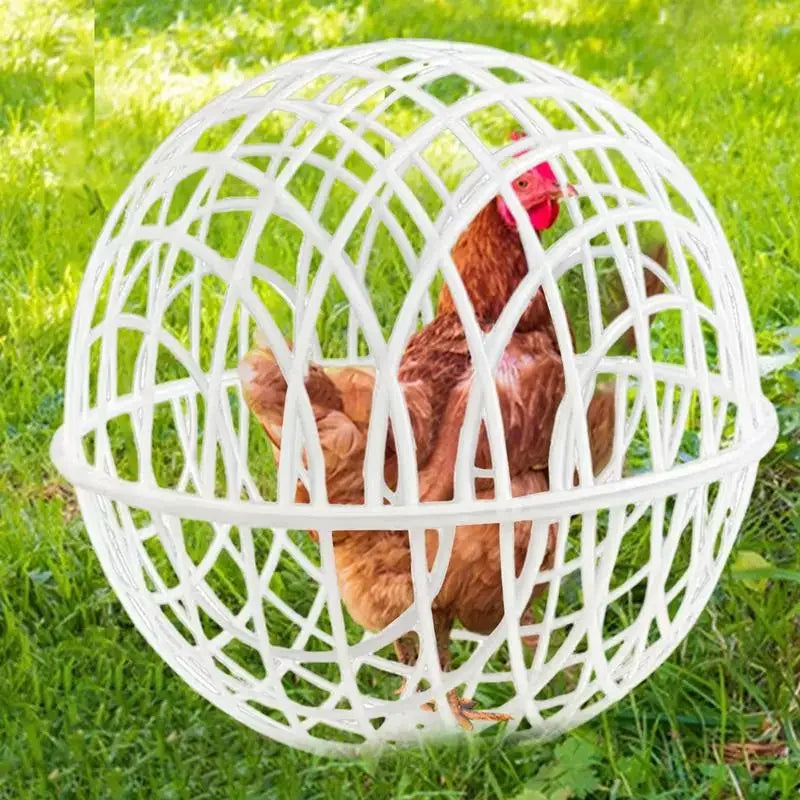 Plastic Spherical Chicken Rabbit Cage, Farm Scenic Cage Walking Rolling Chicken Protective Spot, Cage, Ground,