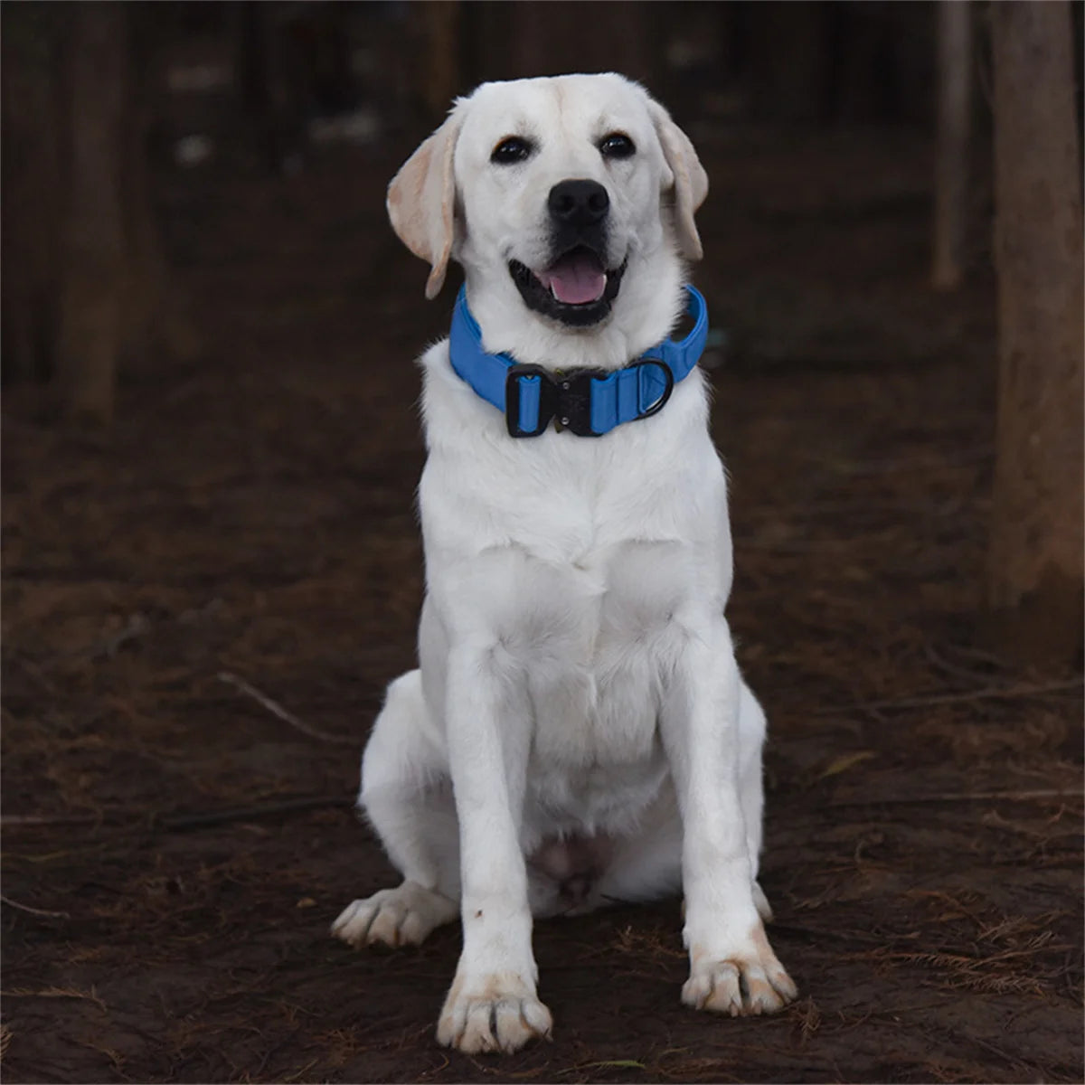Durable Tactical Dog Collar Leash Military Heavy Duty For Medium Large Dogs Collars German Shepherd Walking Training Accessories