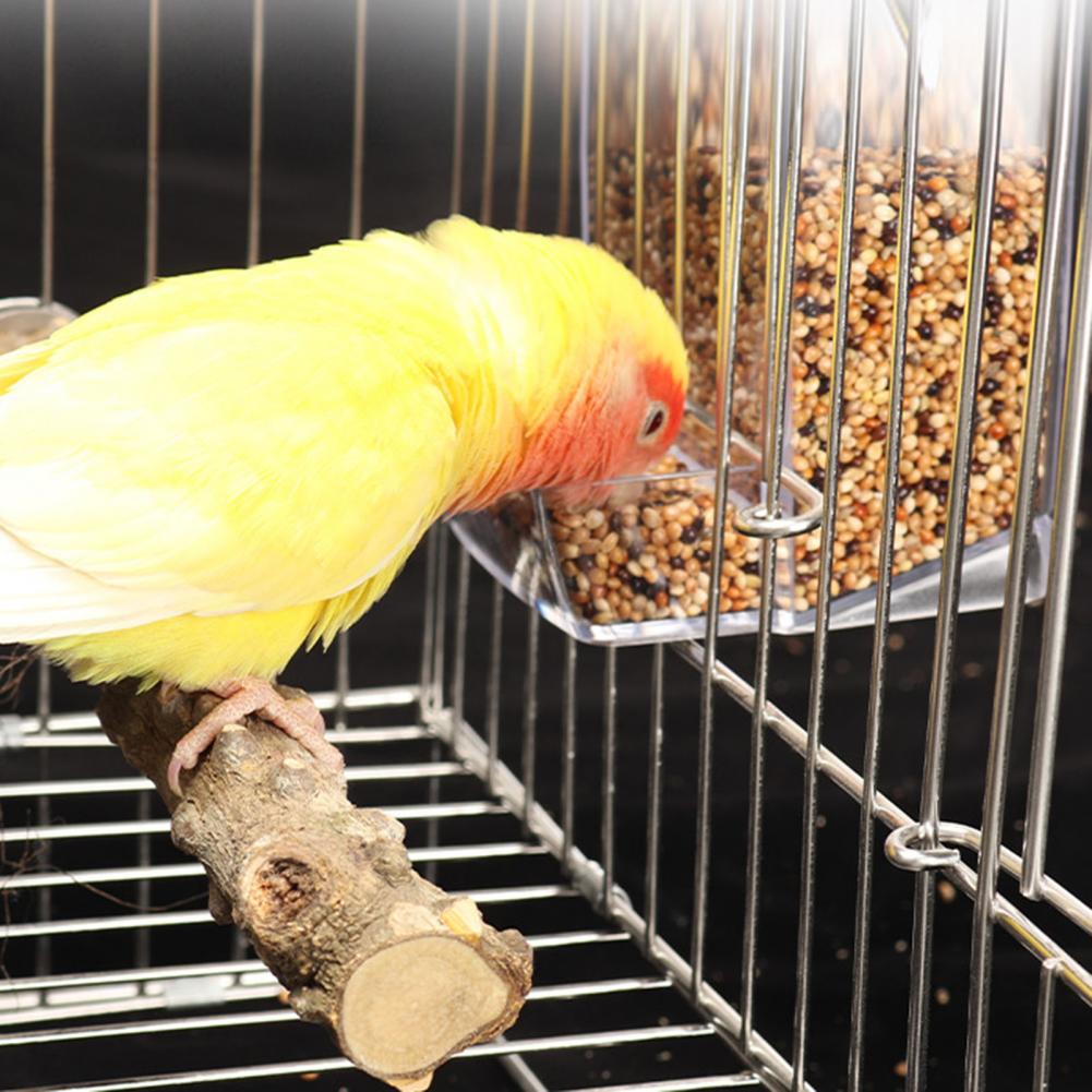 Bird Feeders Automatic Parrot Feeder Drinker with Dustproof Lid Mount Budgie Cockatiel Conure Food Dispenser Pet Supplies