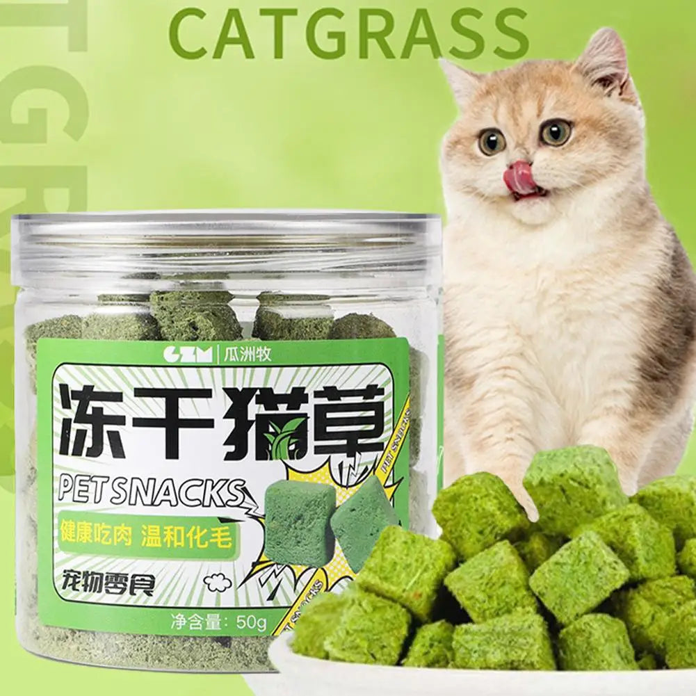 Catgrass Grain Freezedried Cat Snack Row Furry Hairball Catgrass Teeth Tablets Biscuits Pieces Catgrass Grinding N2Z1