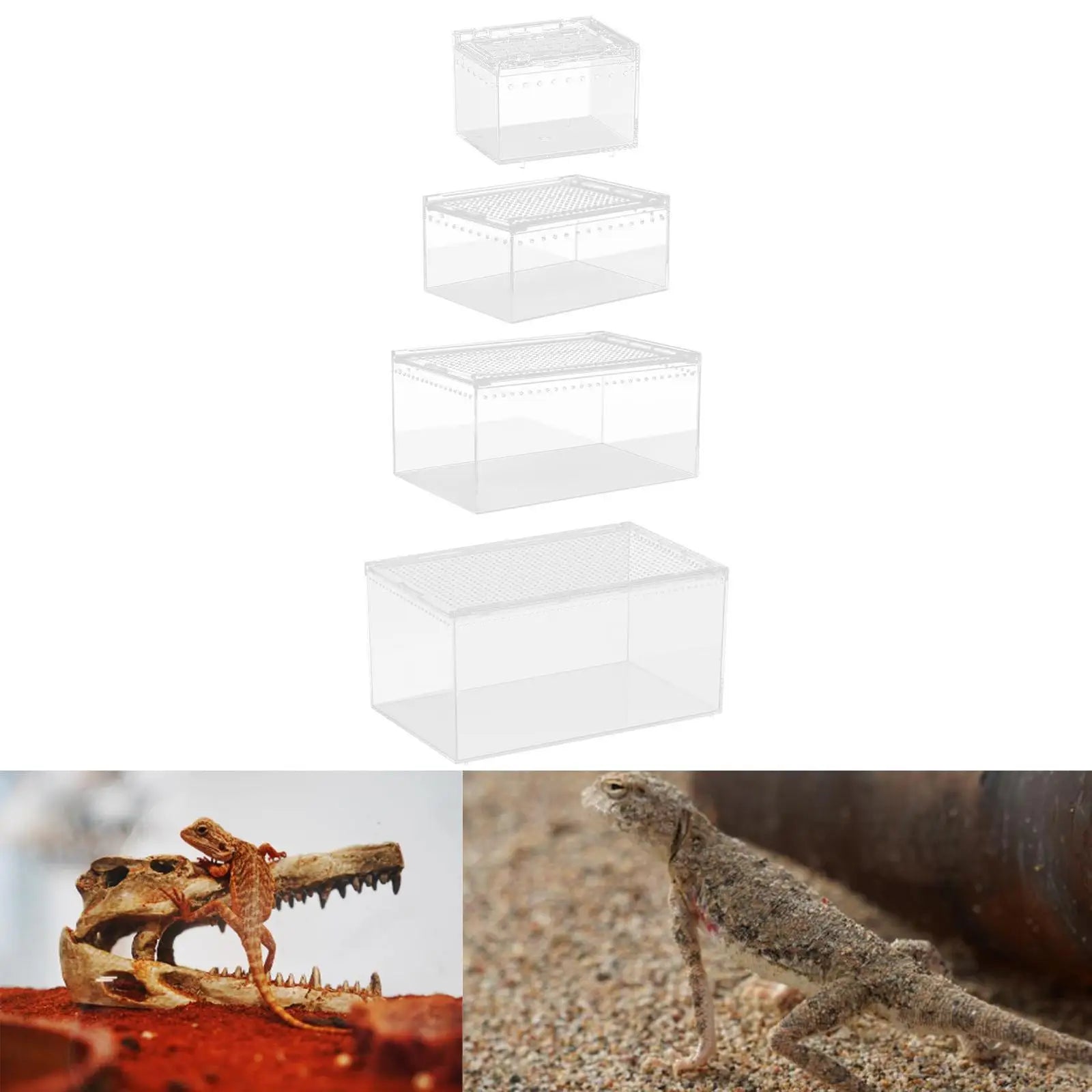 Reptile Feeding Box Animal Habitat Cage Transparent Reptile Terrarium Enclosure Cage for Chameleons Hermit Crabs Container