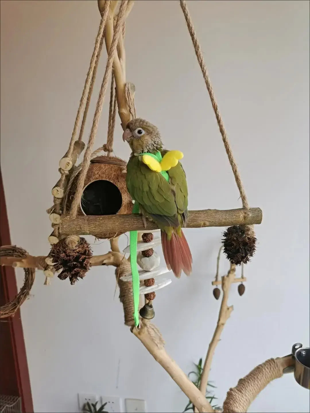 Adjustable Parrot Bird Harness Leash Set Anti-bite Training Harness Parrots Outdoor Flying Rope Cockatiel Small Birds Supplies