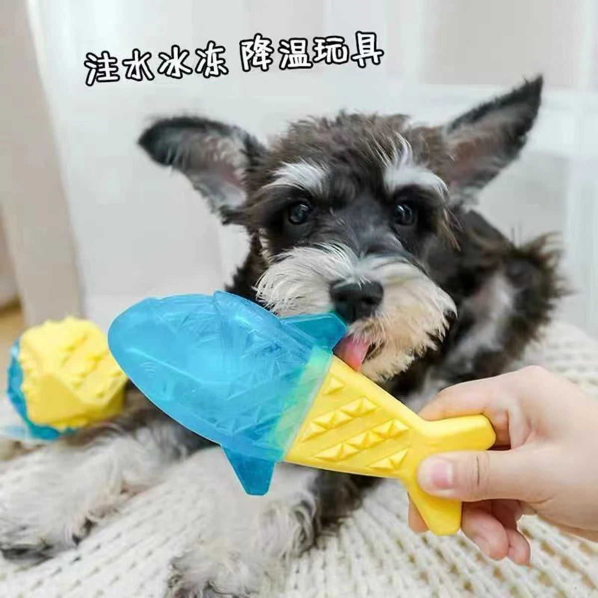 Water-Filling & Freezing Dog Chew Toy, TPR Material, Shark/Bone/Hexagon Shapes for Teething & Cooling