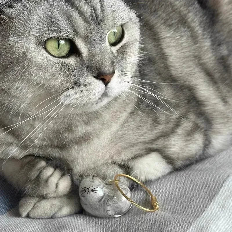 Cat Hair Storage Box Memorial Keychain Transparent Pet Fur Storage Container Hanging Cat Keychain Pendant for Pet Lovers