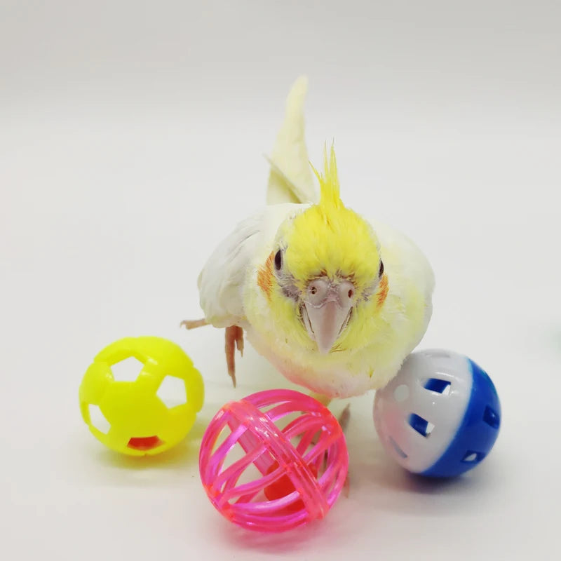 5pcs Pet Parrot Toy Balls Fun Colored Hollow Bell Ball Bird Toy Parakeet Cockatiel Parrot Chew Cage Fun Toys Pet Bird Supplies