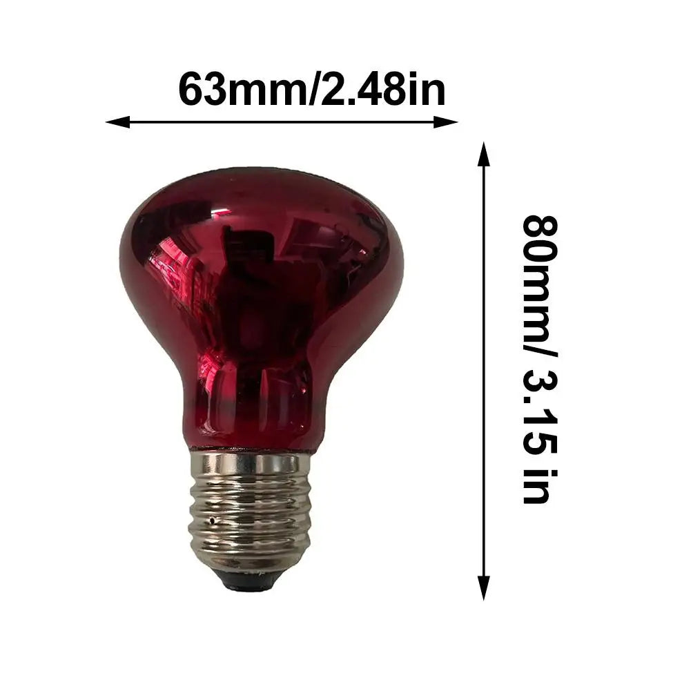 Amphibian Reptile Heating Lamp E27 Poultry Heating Bulb Pet Turtle Terrarium Snake Bulb Light 25W-100W 220-240V