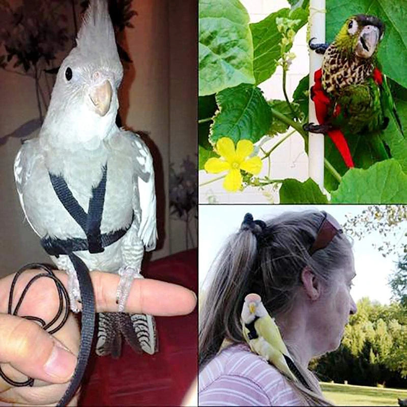 Parrot Bird Harness Leash Outdoor Activities Flying Traction Straps Band Flying Rope For Small Parakeets Cockatiels Bird