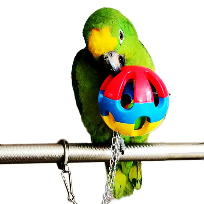 Parrot toy ball, plastic bell, rattling ball, medium to large parrot bite toy bird supplies, bird toy set