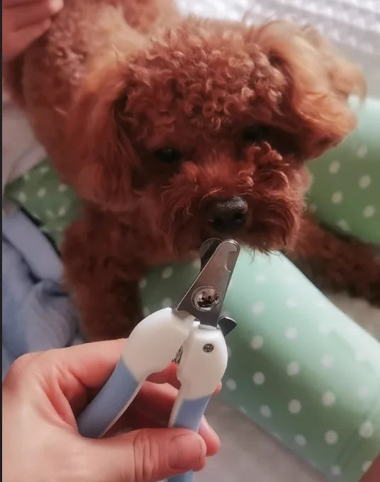 Professional Pet Nail Clipper Stainless Steel Dog Cat Nail Trimmer Labor-Saving Nail Clipper Convenient Dog Grooming Supplies