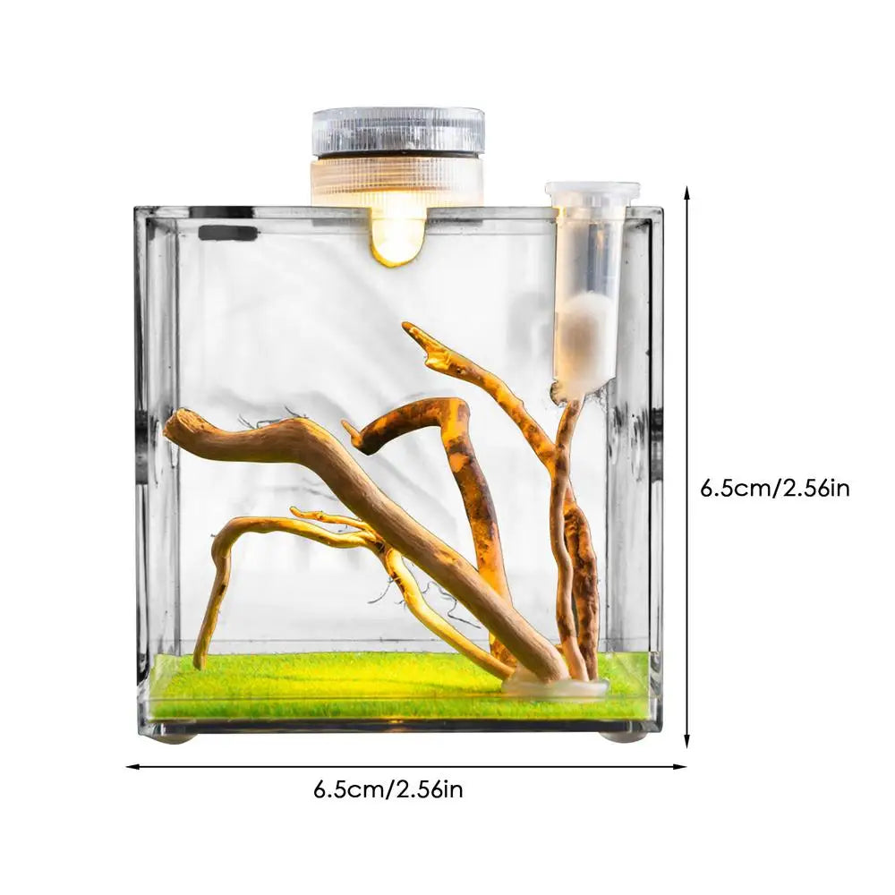 Jumping Spider Enclosure Tarantula Breeding Box Reptile Fogger Little Critters House Container Wood