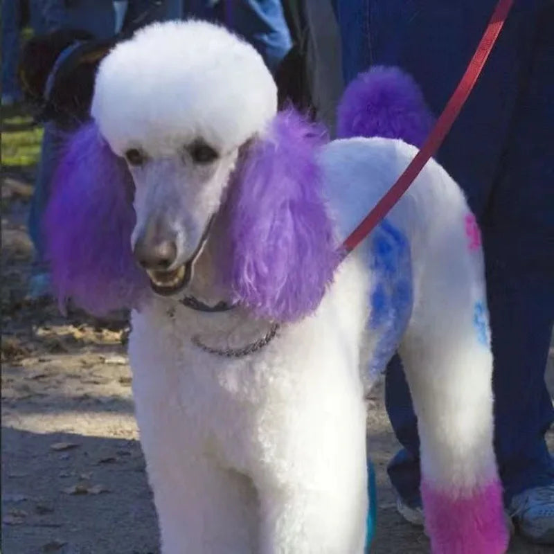 Pet Safe Non-Irritating Fruit Scented Hair Dye, Direct Application For Medium & Large Dogs And Cats