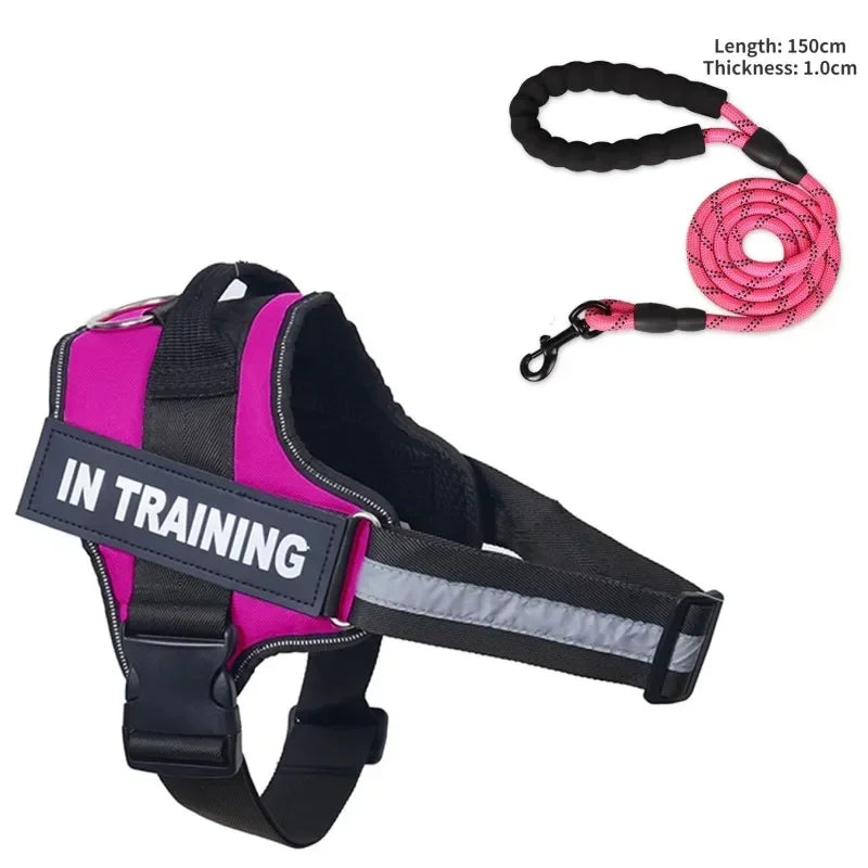 Dog collar Harness ID Custom Patch,Reflective Breathable No Pull Vest For Small Bag Dog，Dog Harness for puppy,Walk Dog Supplies