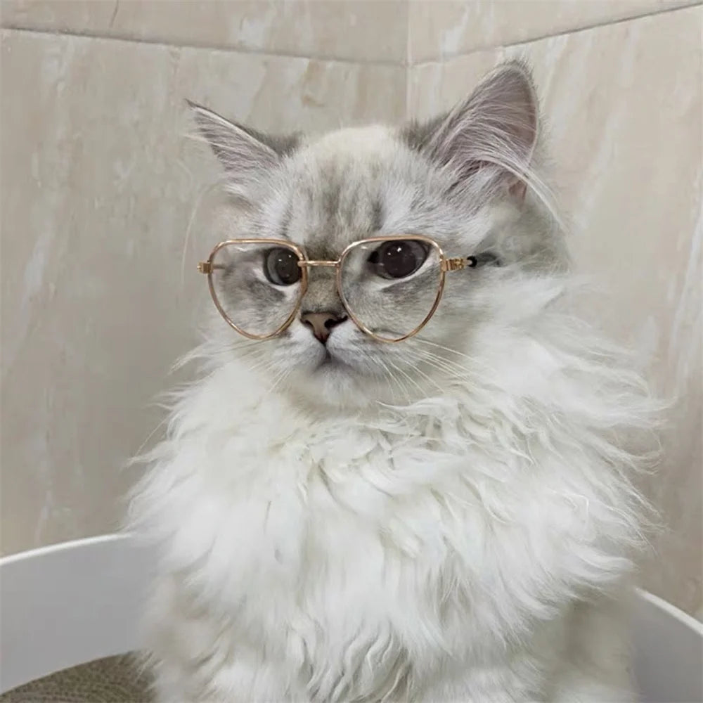 Cool Cat Glasses Pet Accessories for Cats Heart-shaped Transparent Reflective Sunglasses Kitten Sphynx Persian Pet Products