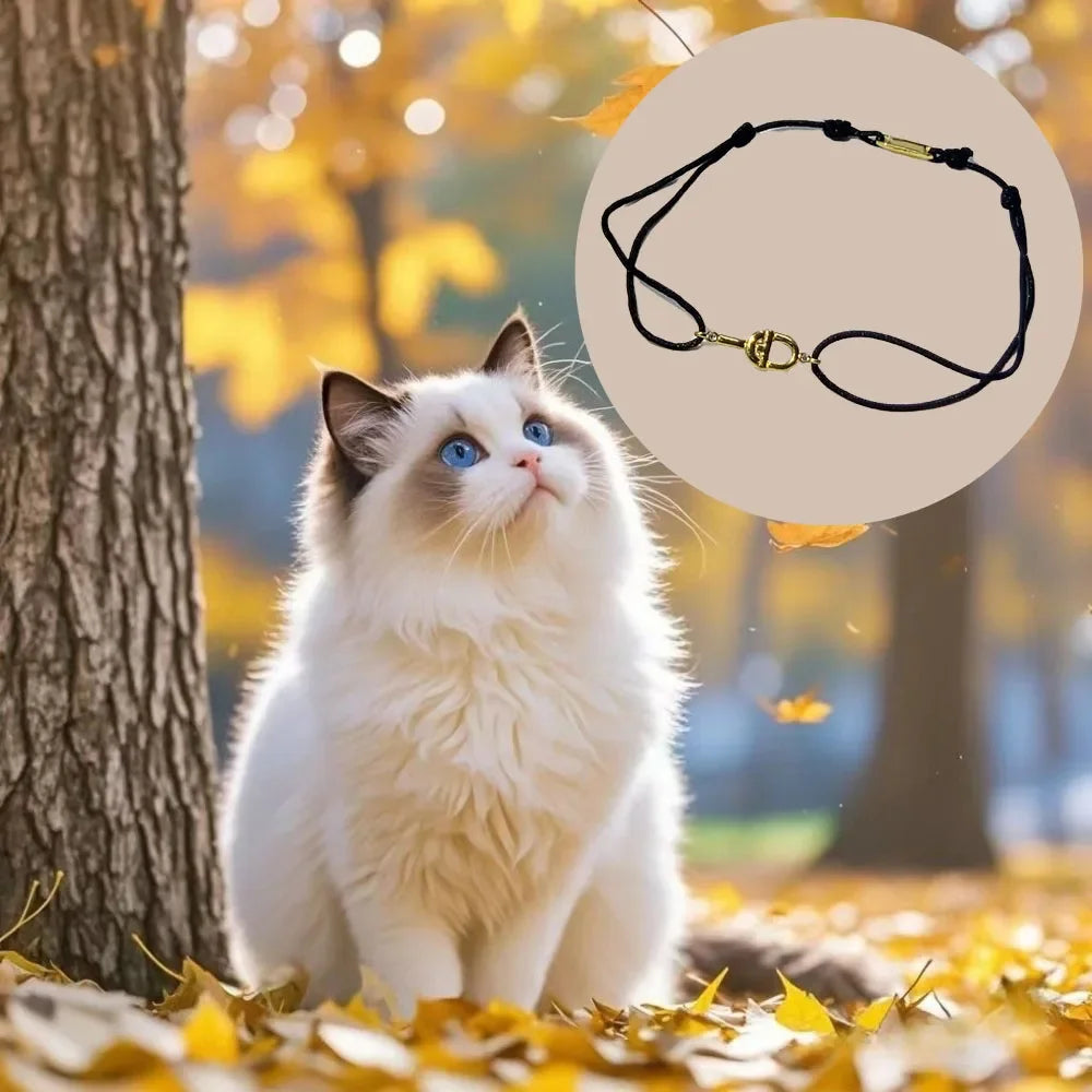 Cat Jewelry Accessories New Style Sweet Bracelet Women's Charm Jewelry Decoration Commemorative Day Gift