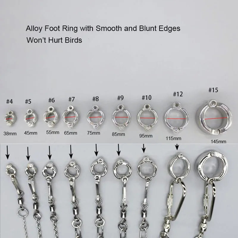 Bird Parrot Foot Chain Stainless Steel Ankle Foot Ring Stand Chain Outdoor Flying Training Starling Pigeon Bird Accessories