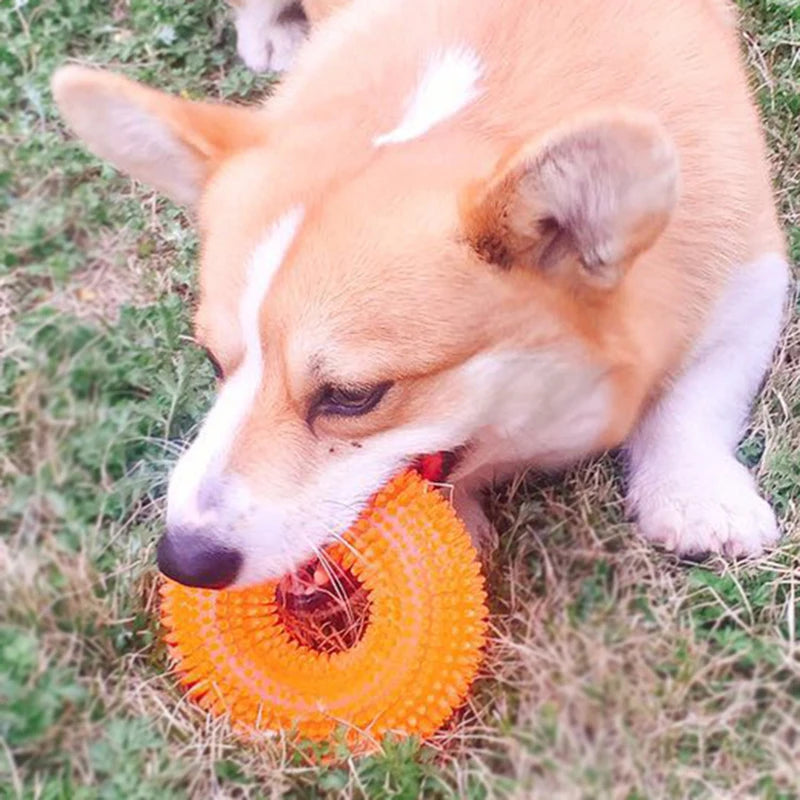Strong Donut TPR Pet Dog Chew Toys with Squeak for Small Medium Dogs French Bulldog Corgi Border Shepherd Puppy Pets Accessories