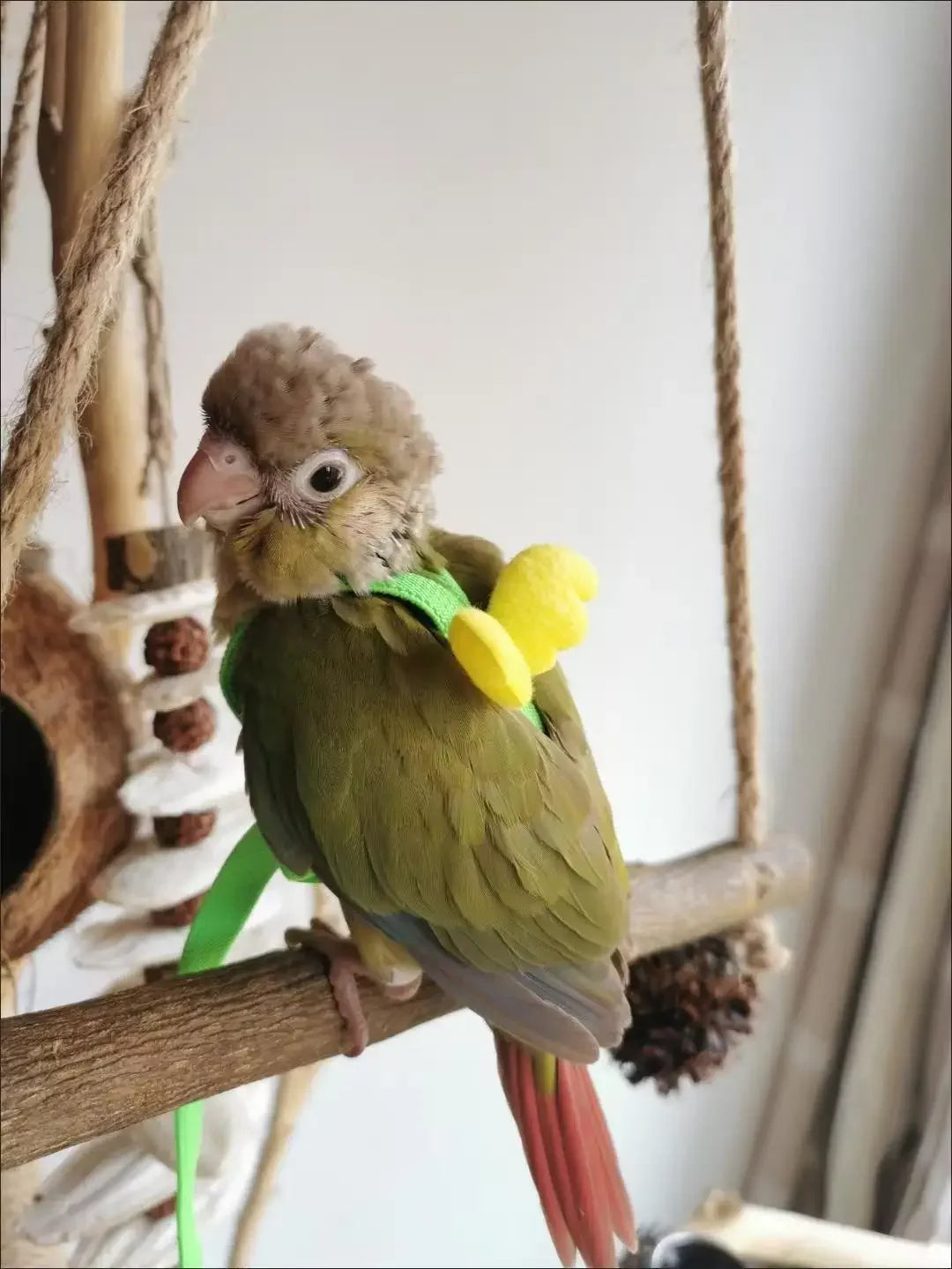Adjustable Parrot Bird Harness Leash Set Anti-bite Training Harness Parrots Outdoor Flying Rope Cockatiel Small Birds Supplies