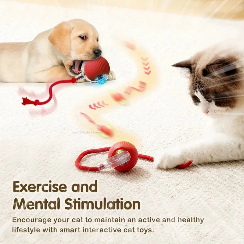 Cat Toys for Kitten Cats Ball Toys Pet Product Cat's Accessories for Home Automatic Electronic Indoor Interactive Cat Pet Toy