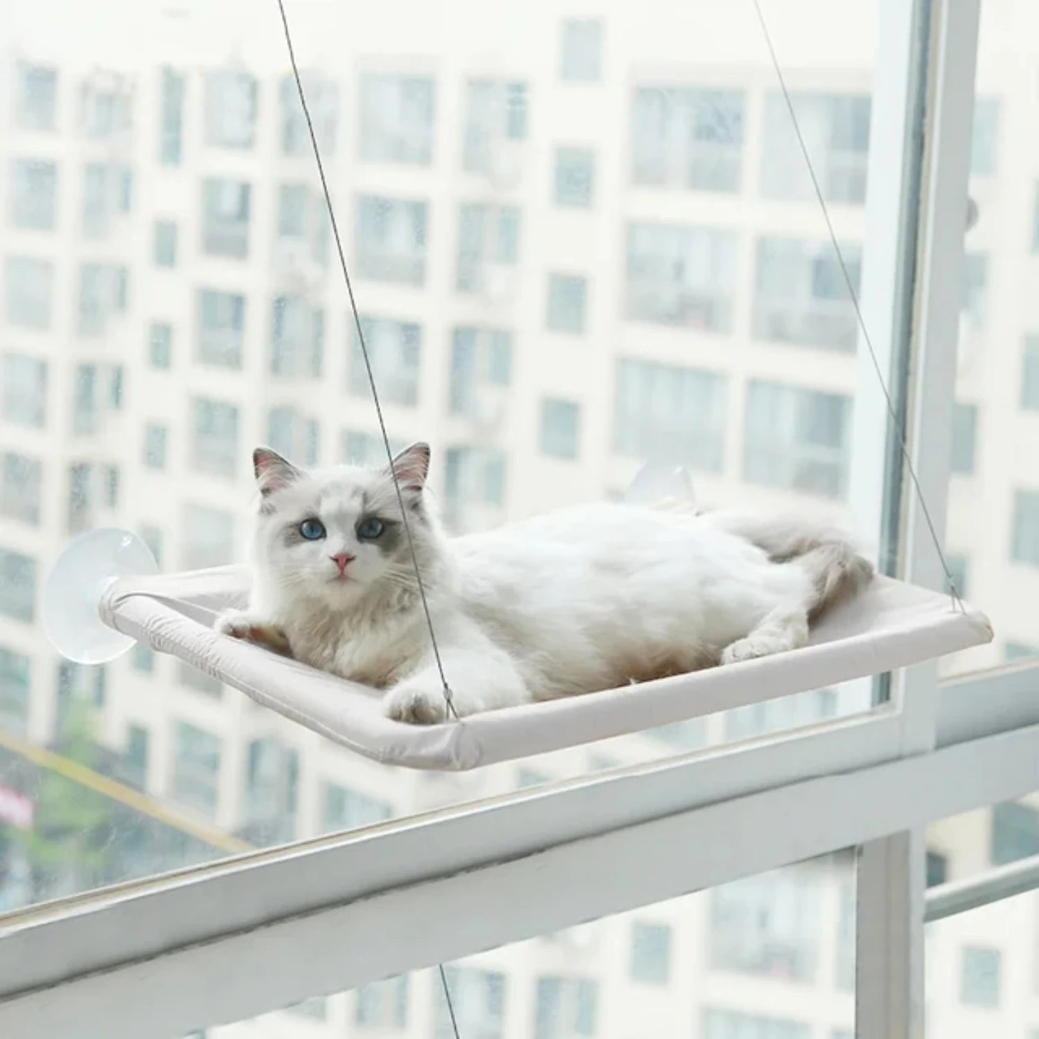 Hanging Cat Bed Pet Cat Window Shelf Net Cat Hammock Suction Cup Cat House Perches Cave Cat Nest Cat Supplies Cat Accessories