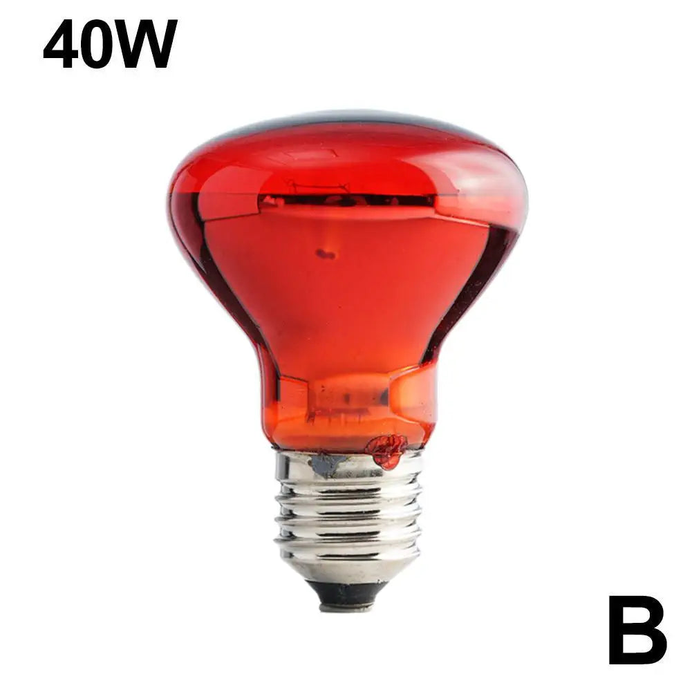Amphibian Reptile Heating Lamp E27 Poultry Heating Bulb Pet Turtle Terrarium Snake Bulb Light 25W-100W 220-240V