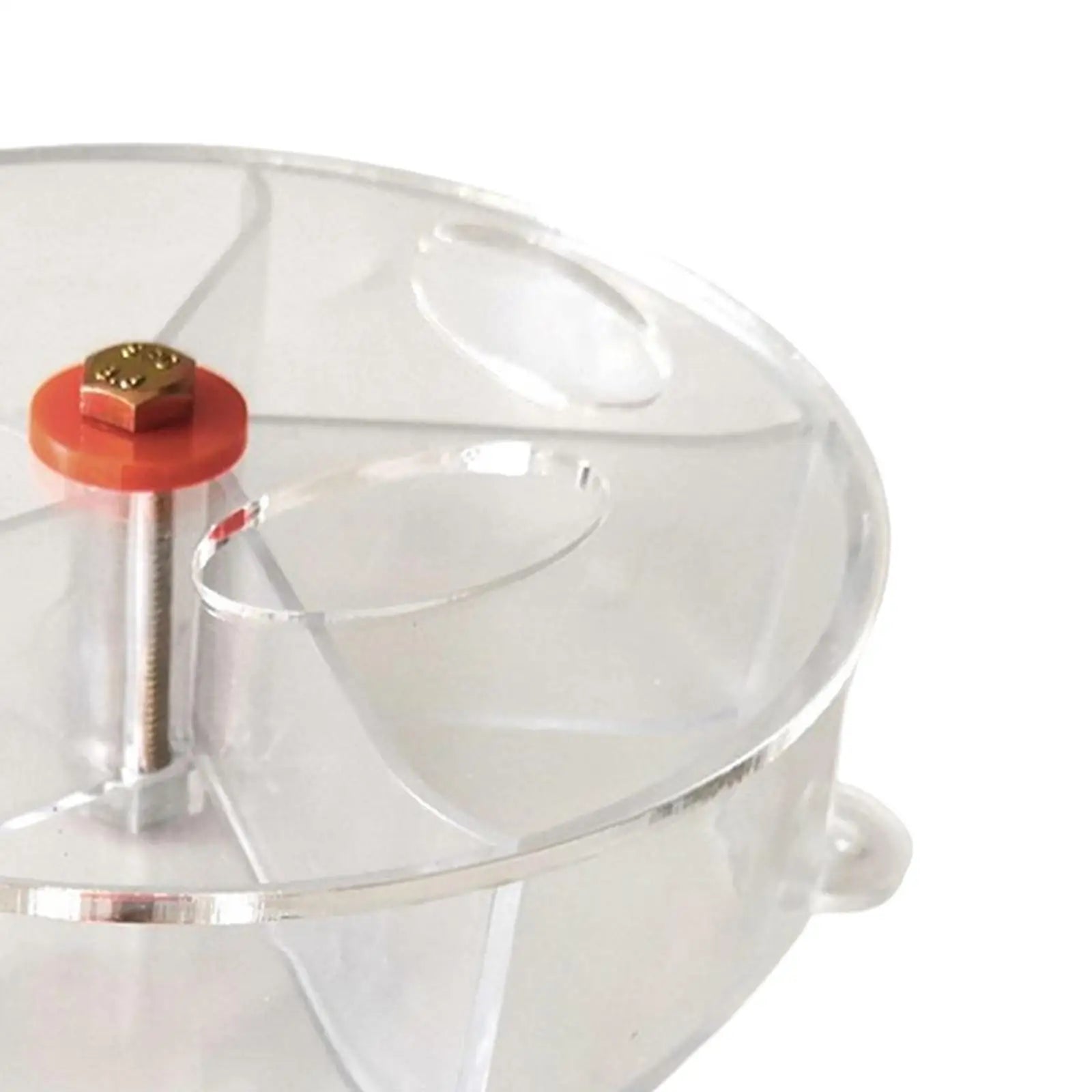 Bird Foraging Toys for Parrots Foraging Wheel for Large Parrots Seed Container Portable for Parakeet Cockatiel Birdcage Snacks