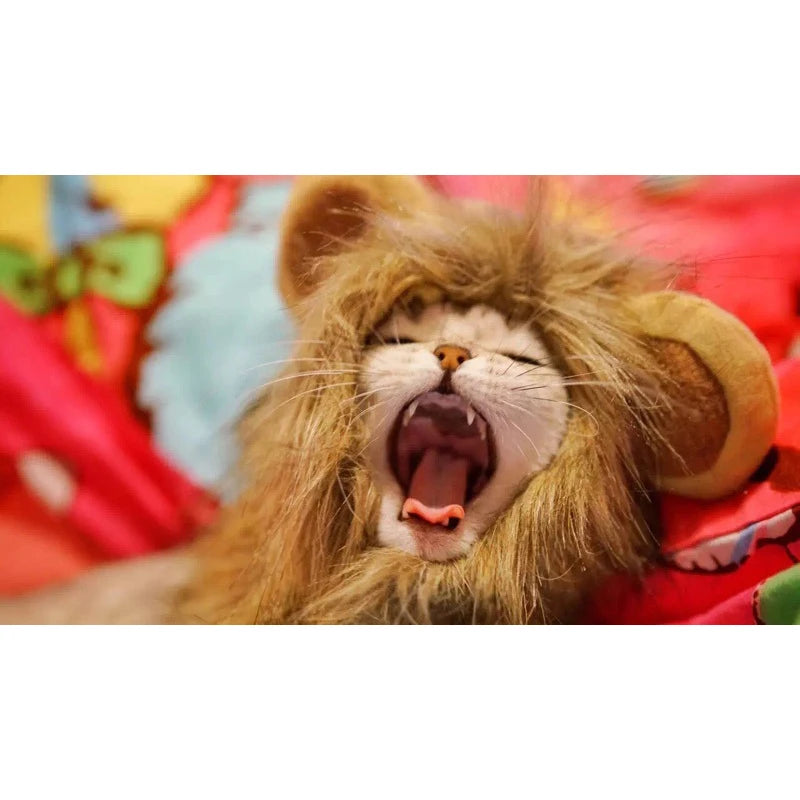Lion Mane Cat New Cute Wig Hat for Dogs and Cats Small Dog Pet Cat Decoration Accessories Lion Wig Fancy Hair Cap Pet Supplies