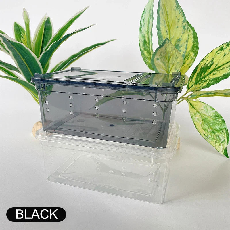 Reptiles Spider Transparent Plastic Feeding Box Insect Food Feeding Container