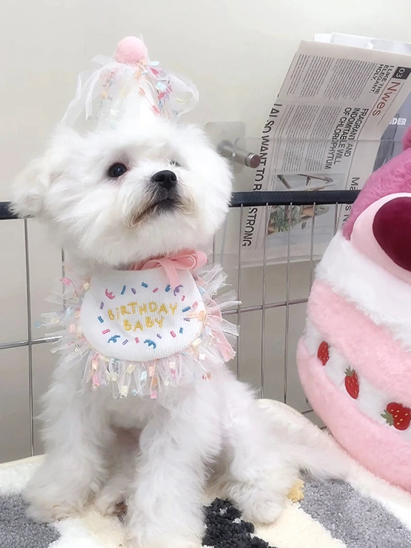 Pet Cat Dog Birthday Party Lace Suit Hat Scarf Dog Bib Saliva Towel Mesh Series Bear Birthday Jewelry Dress Up Accessories