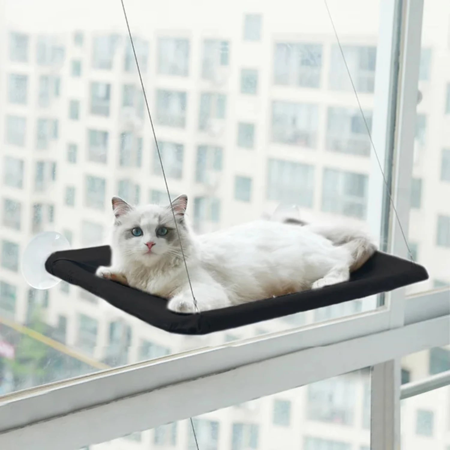Hanging Cat Bed Pet Cat Window Shelf Net Cat Hammock Suction Cup Cat House Perches Cave Cat Nest Cat Supplies Cat Accessories