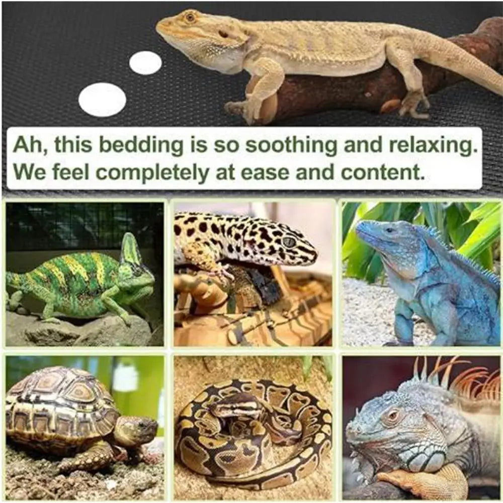 Reptile Carpet Terrarium Liner Bedding Reptile Substrate Mat Safe And Comfortable Reptile Cage Mat For Snake Gecko Lizard