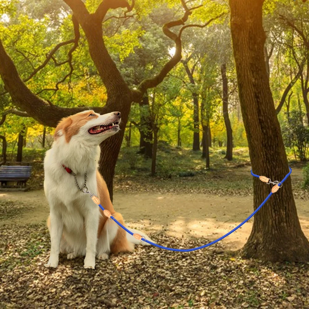 2nd Multipurpose Big Dog Double Leash Generation Medium Adjustable and Nylon Luxury Hands Free Leash for 2 Dogs