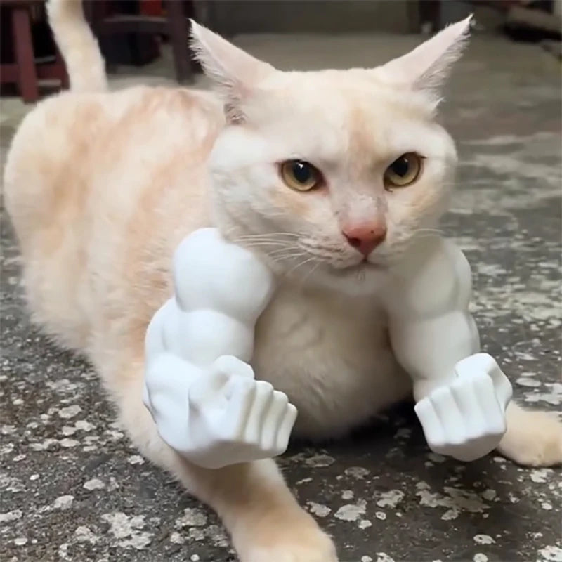 Funny Cat Muscle Arm Clothing Decoration Props 3D Printed Pet Interactive Neck Hanging Toy Role-playing Accessories Birthday Toy