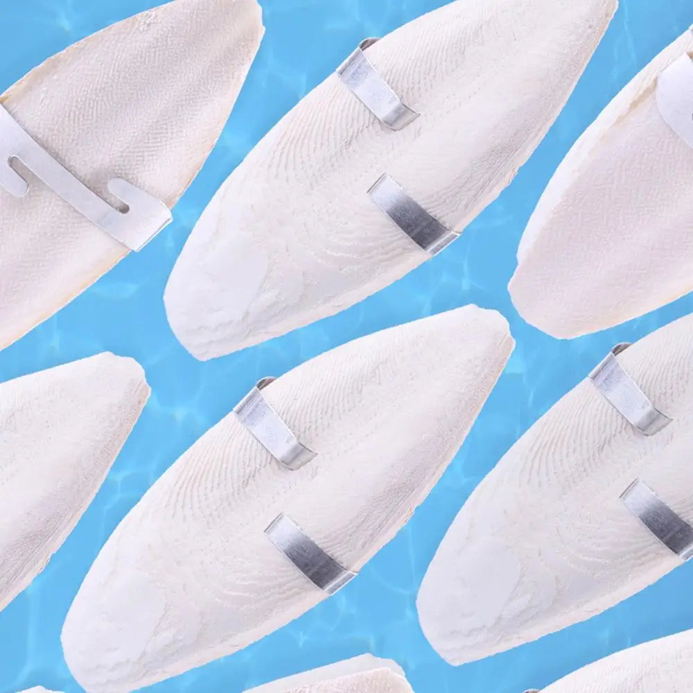 Bird Cuttle Bone Pet Grinding Cuttlefish Bone Natural Cuddle Bone Parrot Chew Toys Chewing Cuttlefish Bone Bird Cuttlebone