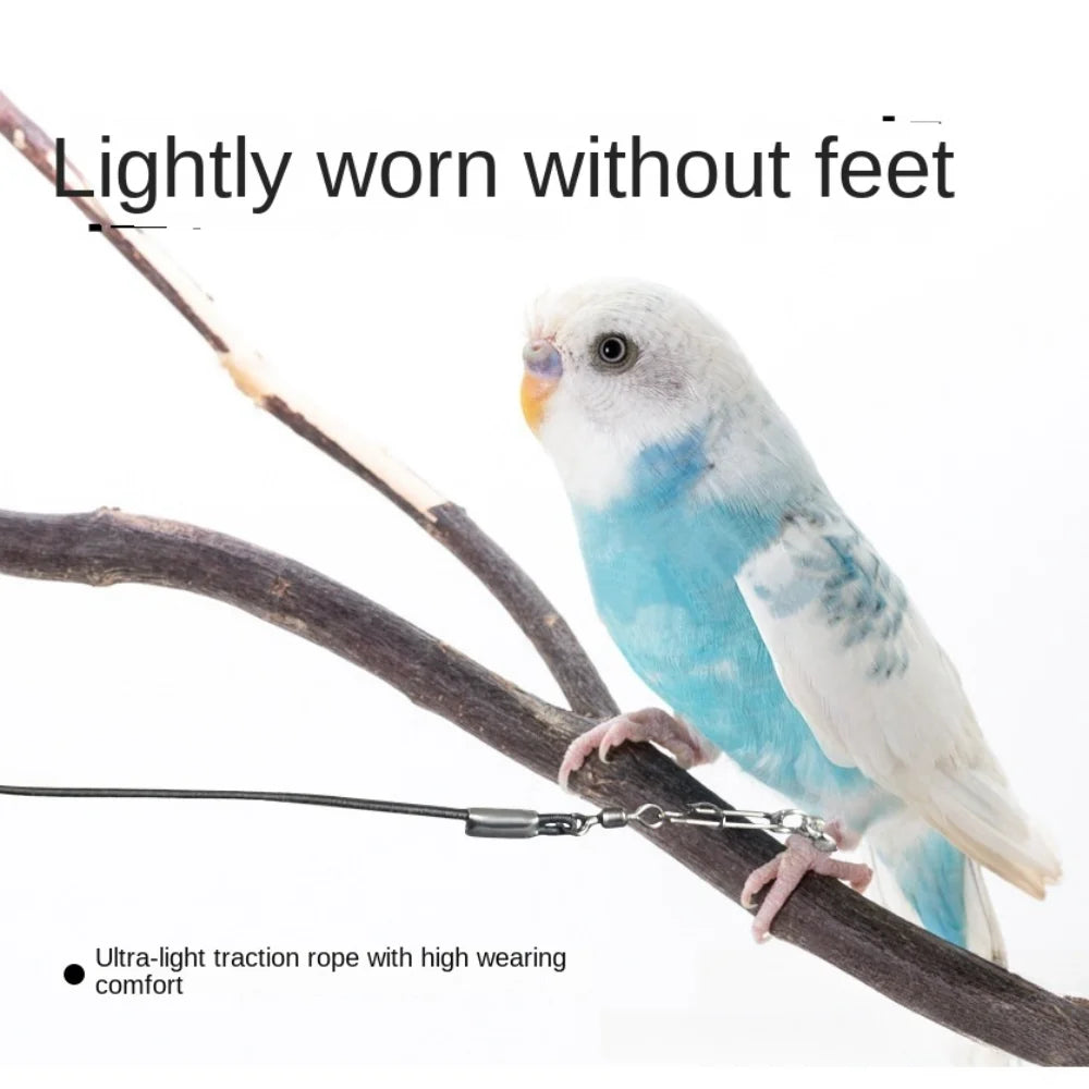 Elastic Parrot Traction Rope Metal Buckle Anti-flying Parrots Training Leash Lightweight Multiple Size Bird Foot Chain for Birds