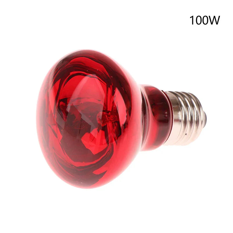 25/40/50/60/75/100W E27 UVA Poultry Bulb Infrared Night Light Day Poultry Heating Bulb For Plants Amphibians Reptile Pets